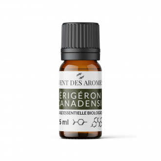 Organic Fleabane or Erigeron essential oil origin France