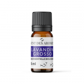Organic Lavandin Grosso essential oil origin France