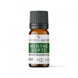 Organic Spearmint essential oil origin France