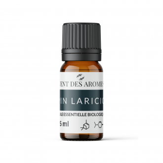 Organic Laricio Pine essential oil origin France