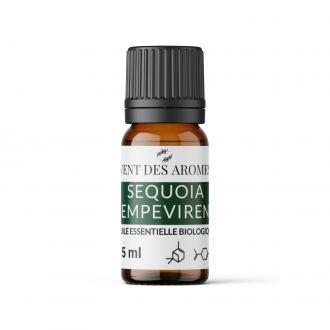 Organic Sequoia essential oil origin France