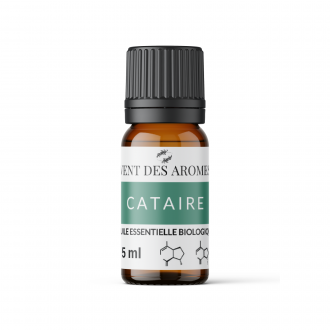 Organic Catnip essential oil origin France