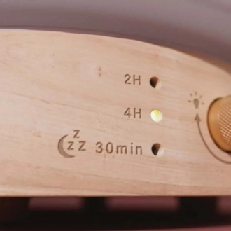 Diffuseur d'huiles essentielles ultrasonique, Lisalia 2