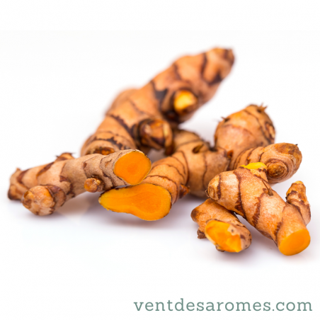 Huile essentielle de Curcuma bio