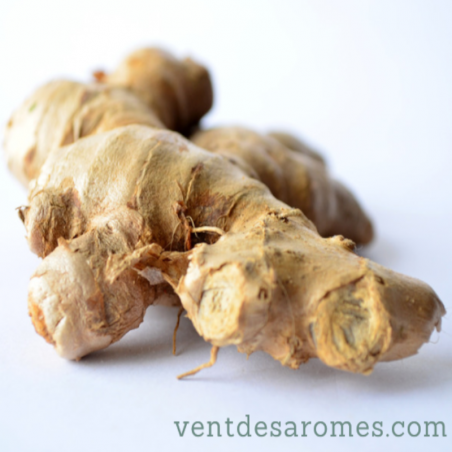 Organic Ginger essential oil