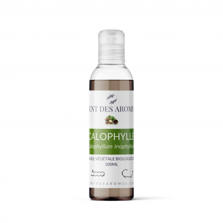 Huile Végétale de Calophylle Biologique