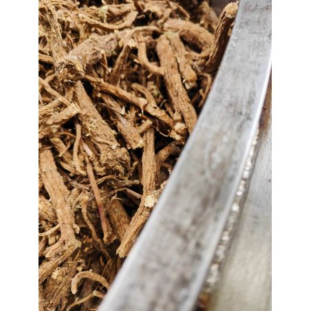 Hydrolat de Livèche Racine bio