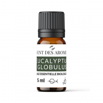 Huile essentielle d'Eucalytus Globulus bio