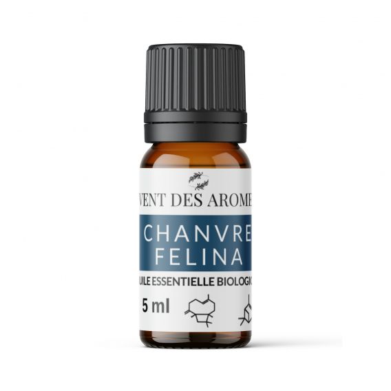 Organic Hemp essential oil origin France