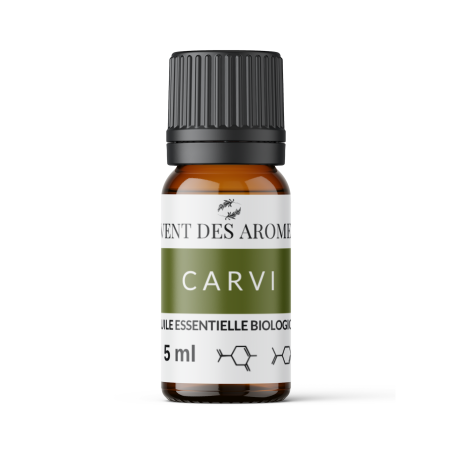 Huile essentielle de Carvi Semence bio