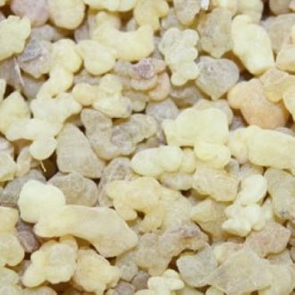 Organic Frankincense essential oil 2