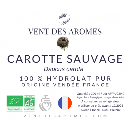 Organic Wild Carrot hydrosol origin France