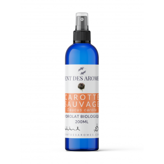 Hydrolat de Carotte Sauvage bio