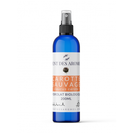 Hydrolat de Carotte Sauvage bio