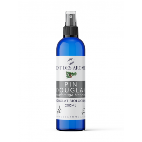 Organic Douglas pine hydrosol origin France