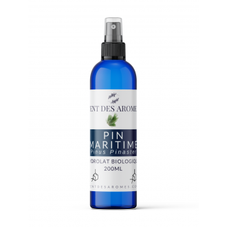 Hydrolat de Pin Maritime bio
